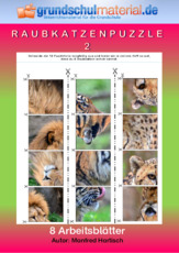 Raubkatzenpuzzle_2.pdf